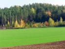 Podlaska wie�